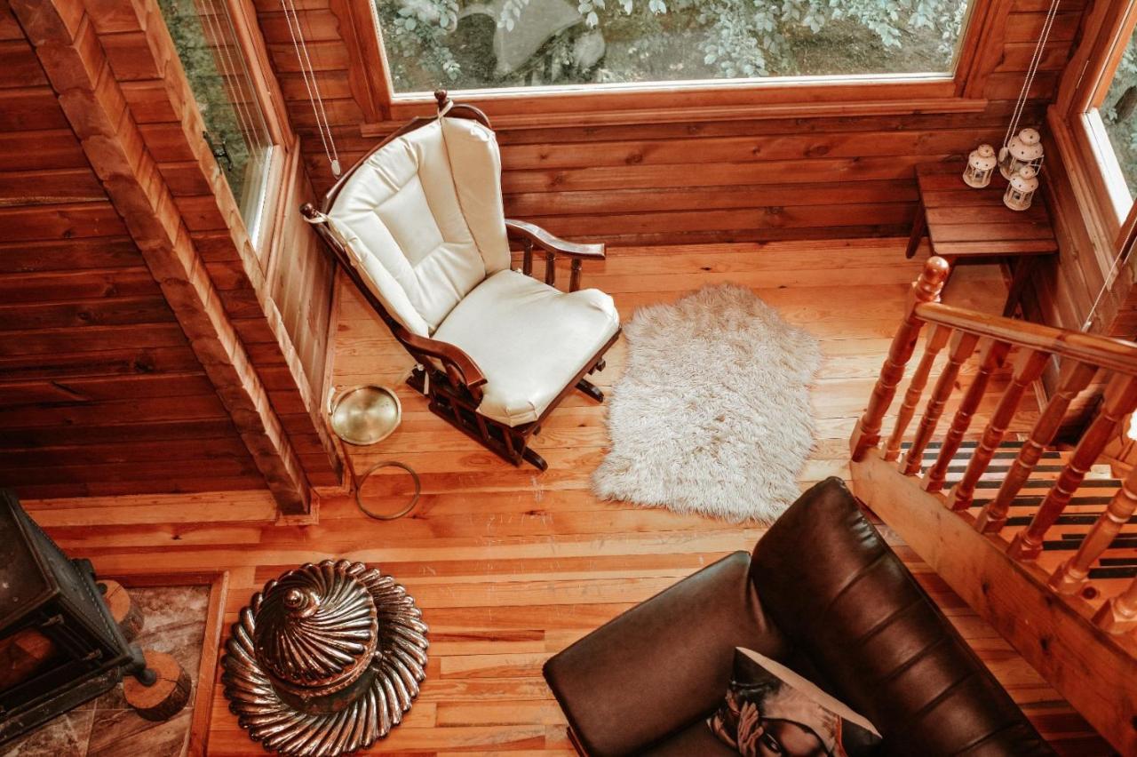 Abant Korudam Bungalov Butik Otel ภายนอก รูปภาพ